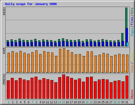 Daily usage for January 2006