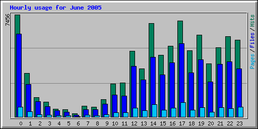 Hourly usage for June 2005